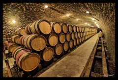 2018 Bourgogne